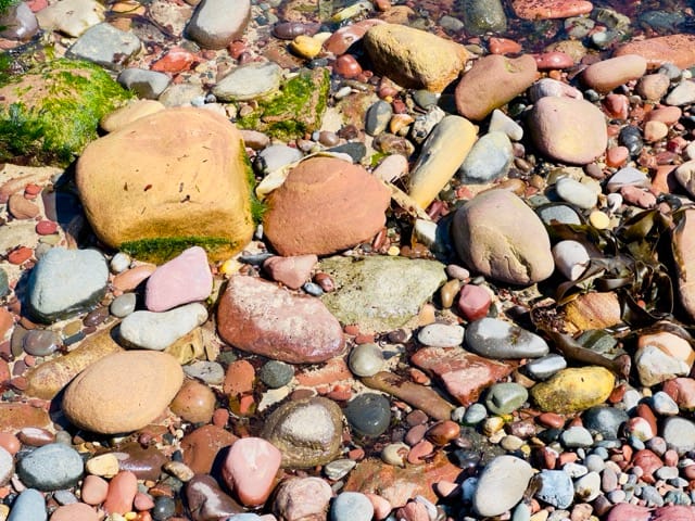 Dunbar beach