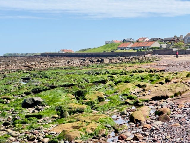 Dunbar summer