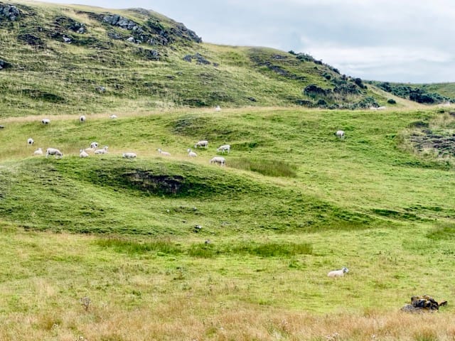 St. Abbs