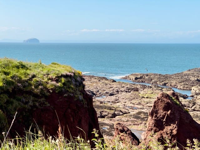 John Muir Country Park Dunbar summer