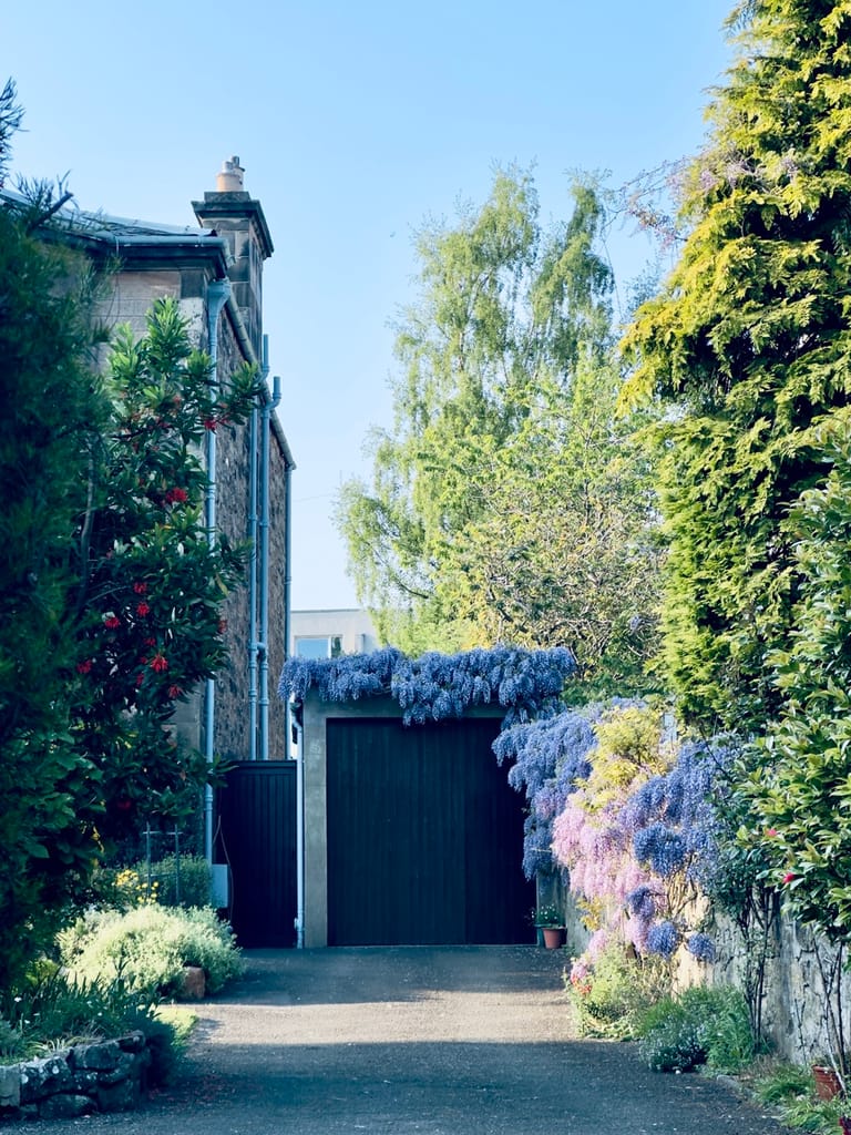 corstorphine 2 Large