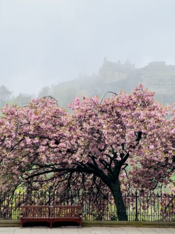 Princes Street