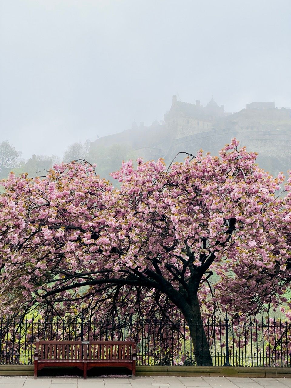 Princes Street