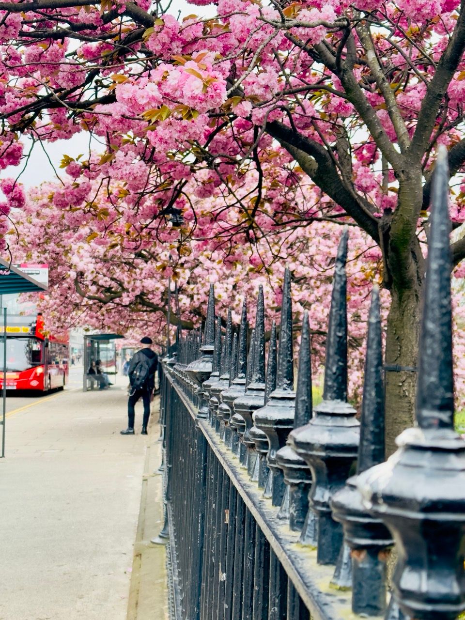 Princes Street