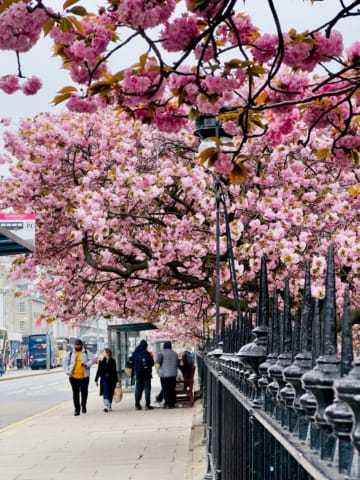 Princes Street