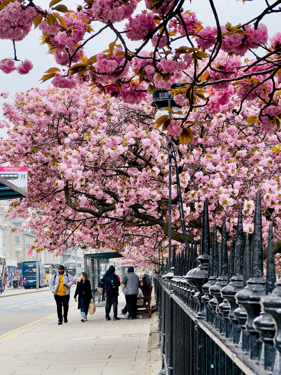 Princes Street
