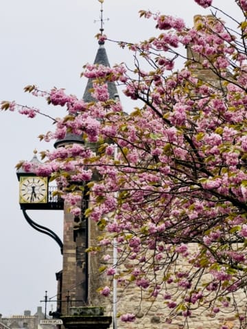 Cannongate Kirk