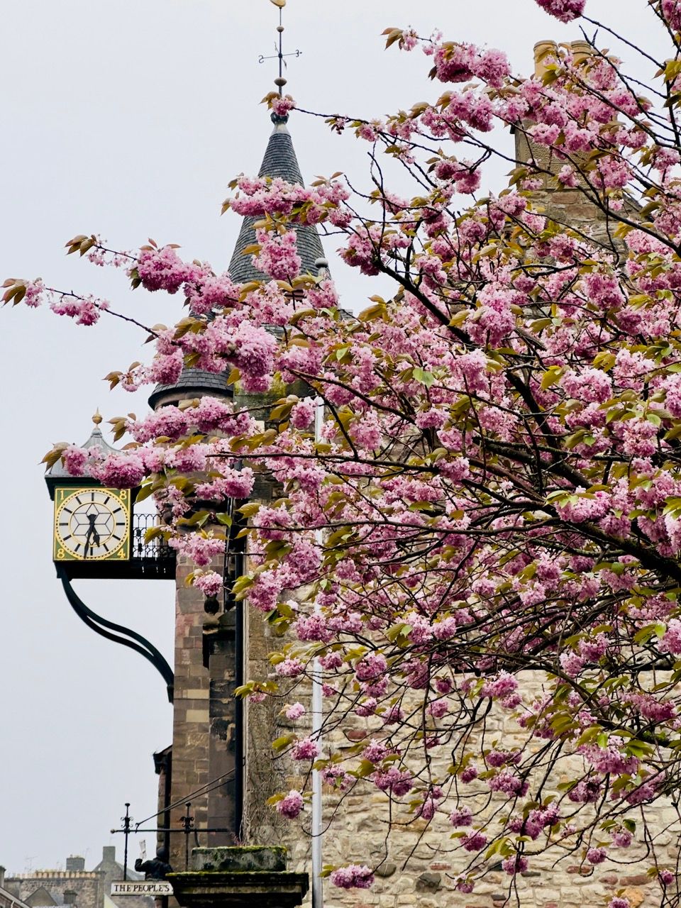Cannongate Kirk