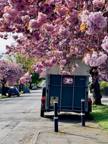 Carrick Knowe
