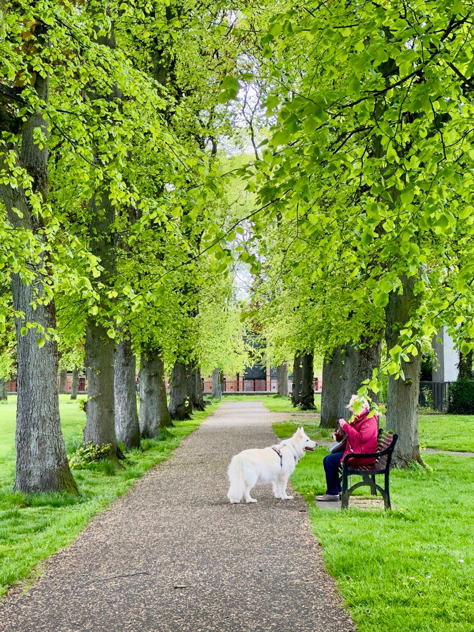 St Margaret's Park, Edinburgh