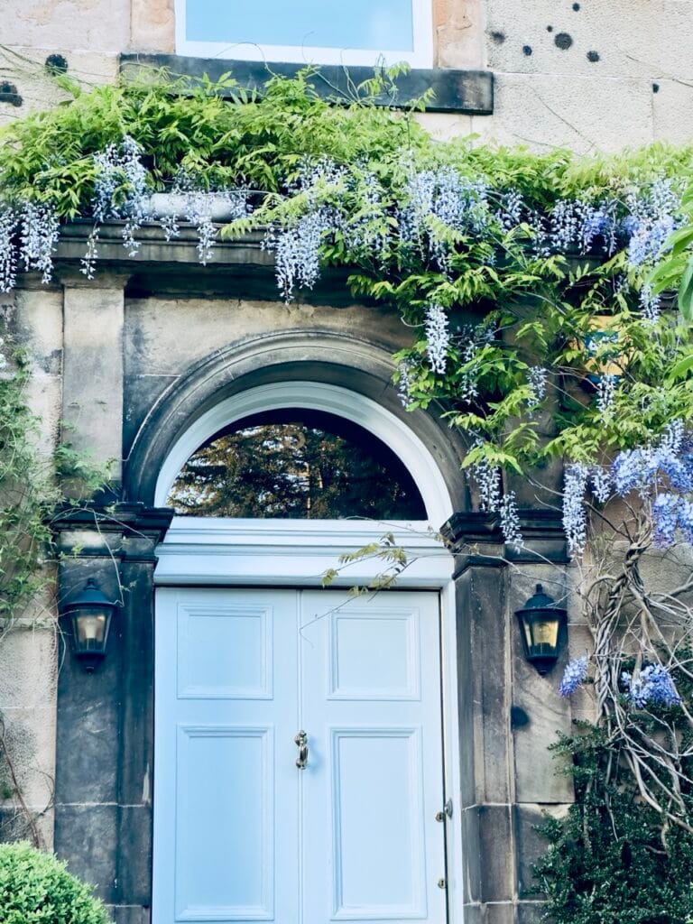 Top 7 Địa Điểm Ngắm Hoa Tử Đằng Đẹp Nhất Ở Edinburgh - Thời Gian Nở Và Gợi Ý Địa Điểm 12 Merchiston morningside area Large