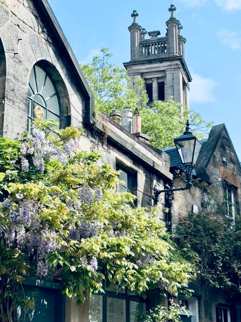 Top 7 Địa Điểm Ngắm Hoa Tử Đằng Đẹp Nhất Ở Edinburgh - Thời Gian Nở Và Gợi Ý Địa Điểm 1 circus lane Large