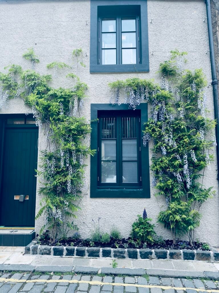 Top 7 Địa Điểm Ngắm Hoa Tử Đằng Đẹp Nhất Ở Edinburgh - Thời Gian Nở Và Gợi Ý Địa Điểm 6 new town 2 Large