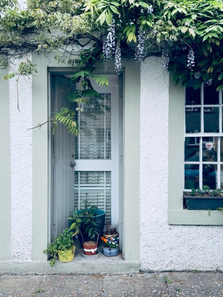 Top 7 Địa Điểm Ngắm Hoa Tử Đằng Đẹp Nhất Ở Edinburgh - Thời Gian Nở Và Gợi Ý Địa Điểm 7 newhaven Large