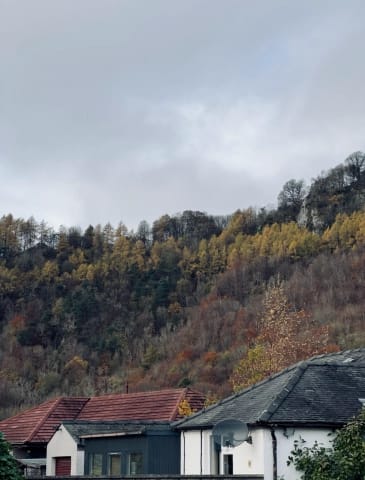 Perth Kinfauns colorful autumn Nov 4 Large